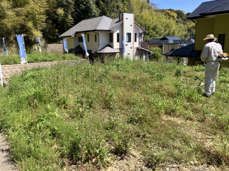 草刈りの季節✂️